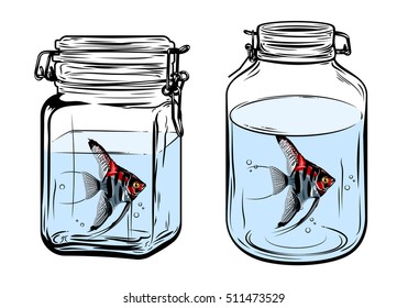 Bottles, round and square shapes, with a angelfish inside, freehand drawing