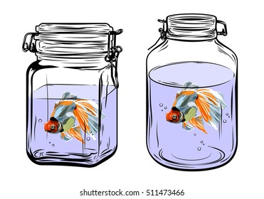 Bottles, round and square shapes, with a goldfish inside, freehand drawing
