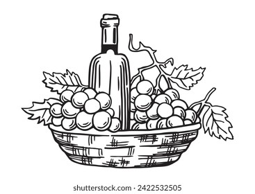 bottles of wine and a basket of grapes. vintage drawing in sketch style. black and white illustration
