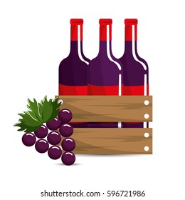bottles wine and grape icon