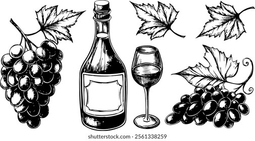 Botellas de vino y uvas. dibujo vintage en estilo de boceto. ilustración en blanco y negro. Botella de vino, vidrio y uvas en estilo doodle