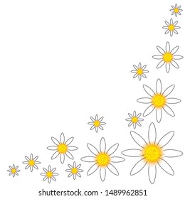 Bottom corner oxeye daisy flower decoration. National flower of Denmark, Latvia, Russia. Vector illustration