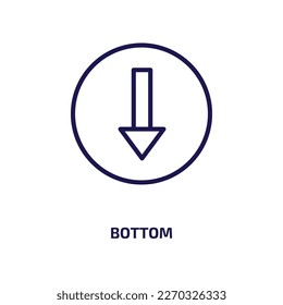 bottom icon from user interface collection. Thin linear bottom, business, arrow outline icon isolated on white background. Line vector bottom sign, symbol for web and mobile