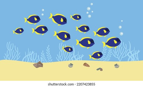 The bottom of the ocean, the sea, a flock of fish