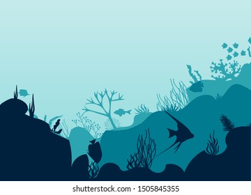 The bottom of the ocean, swimming fish, corals in the ocean.