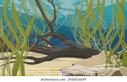 The bottom of a pond, lake or river with stones, algae and sunken tree branch. Realistic vector underwater landscape