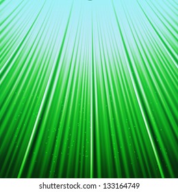 Bottom up view grass to blue sky, vector illustration