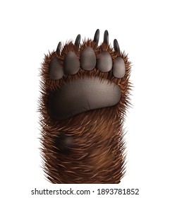 Bottom view of realistic furry bear paw on white background vector illustration