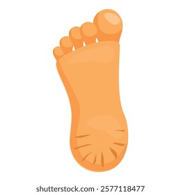 Bottom view of a right foot showing lines and toes, isolated on white background