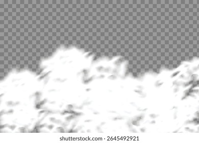 Bottom White Smoke Cloud Effect on Transparent Background for Digital Compositing, PNG