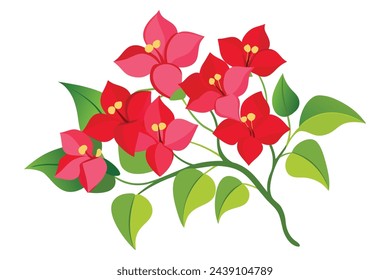 Ilustración de vector plano de flores de Bougainvillea.