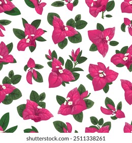 Bougainvillea flowers pattern or pink floral background, seamless vector. Bougainvillea flowers pattern with pink blossom petals and green leaves in textile print style of tropical floral ornament