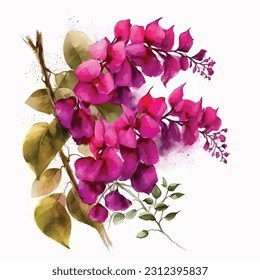 Bougainvillea flowers watercolor painting ilustration svg