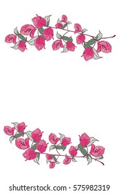 Bougainvillea frame