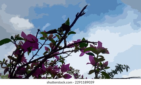 Bougainvillea glabra, lesser bougainvillea or paper flower, is the most common bougainvillea species used for bonsai.