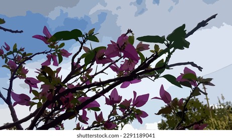 Bougainvillea glabra, lesser bougainvillea or paper flower, is the most common bougainvillea species used for bonsai.