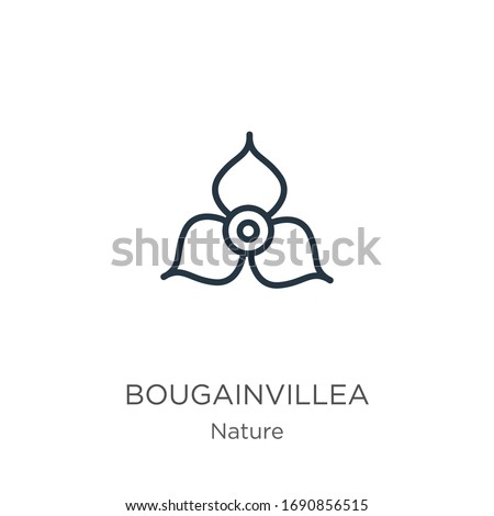 Bougainvillea icon. Thin linear bougainvillea outline icon isolated on white background from nature collection. Line vector sign, symbol for web and mobile
