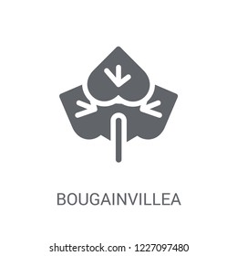 Bougainvillea icon. Trendy Bougainvillea logo concept on white background from Nature collection. Suitable for use on web apps, mobile apps and print media.