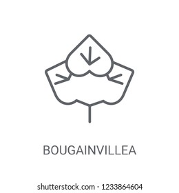 Bougainvillea icon. Trendy Bougainvillea logo concept on white background from Nature collection. Suitable for use on web apps, mobile apps and print media.