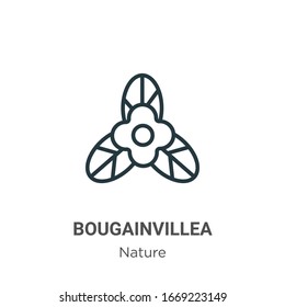 Icono vectorial de contorno de buganvillas. Icono de buganvilias negras de línea delgada, ilustración de elemento simple de vector plano del concepto de naturaleza editable trazo aislado sobre fondo blanco