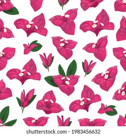 Bougainvillea seamless pattern of vector white flowers, pink and green leaves. Floral background of blooming bougainvillea branches and vines, blossoms of exotic tropical evergreen plant svg