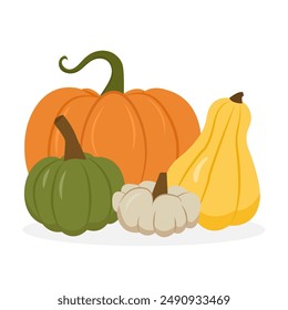  A bountiful autumn harvest. Pile of various ripe colorful pumpkins. Vector illustration isolated