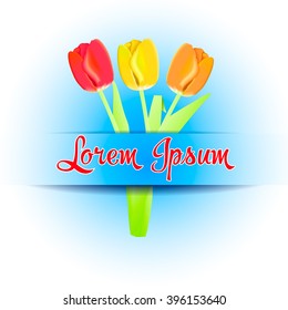 Bouqet of tulips with the place for the text. Vector Illustration