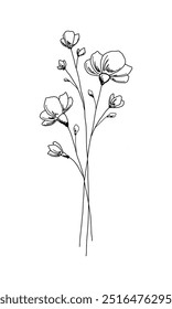 A bouquet of abstract wildflowers. Black and white contour illustration with a simple line, hand-drawn. A botanical festive element for decoration, postcard, design, wedding. Beautiful blooming buds.