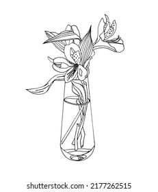 Bouquet of alstroemeria in a vase. Vector sketch of garden flowers in doodle style.