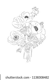 A bouquet of anemones vector on a white background.