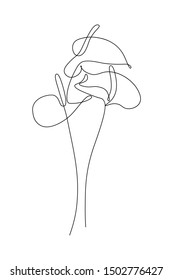 Bouquet of Anthurium flowers in continuous line art drawing style. Minimalist black line sketch on white background. Vector illustration