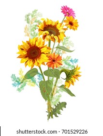 Bouquet autumn flowers: yellow sunflowers, orange gerbera daisy flower, small green twigs of Asparagus on white background. Digital draw, illustration in watercolor style for design, vector