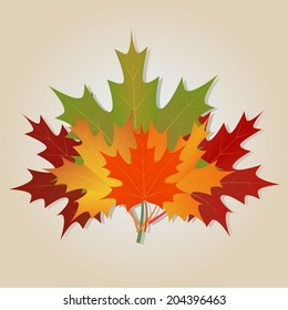 bouquet of autumn maple leaves background