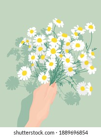 Bouquet of beautiful camomiles flowers. Bouquet of daisies vector. Daisies are wonderful summer flowers. Associations with ease and prostate. Vector illustration.