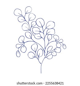 Bouquet of beautiful eucalyptus branches. Hand drawn Botanical Illustration with blue ink. Vector outline. Blue on white.