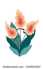 Bouquet of beautiful garden or wild flowers. Colorful blossom bunche isolated on white background. Vector Icon. Flat cartoon illustration, clipart.