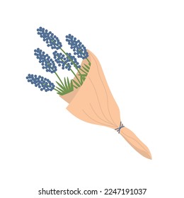 Bouquet of beautiful Muscari flowers on white background