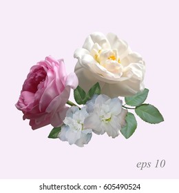 Bouquet of beautiful roses and azaleas isolated on a pinkish background. Photo-realistic gradient mesh vector illustration.