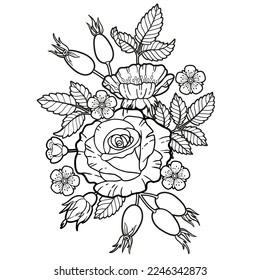 Bouquet of Black and white of rose and cherry flowers, branches and leaves. Vector Coloring book for adults