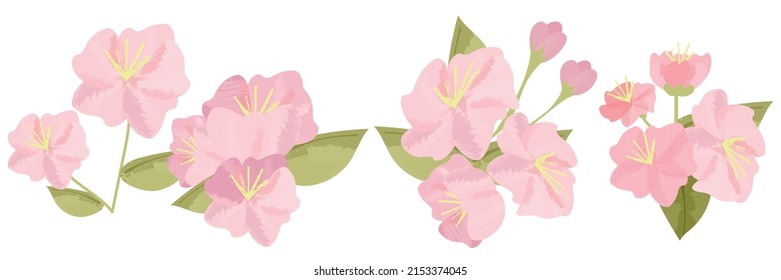 Bouquet de flores de cerezo sakura florecientes. Conjunto vectorial de pétalos de rosa realistas aislados, flor, ramas, hojas. diseño de ilustración de árbol de primavera.