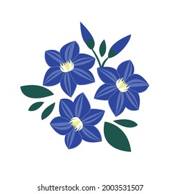 Bouquet of blue clematis. Purple flower hand-drawn on a white isolated background. Decorative botanical element. A colorful flowering plant. Vector illustration in doodle style.