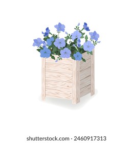 Bouquet of blue flowers petunia, buds and green leaves in the box. Isolated on white background. Floral composition for garden, flower shops,web design. Vector stock illustration.