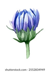 a bouquet of blue and pink cornflowers, showcasing delicate petals and vibrant colors. Perfect for floral designs, greeting cards, and home decor.