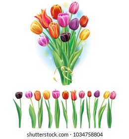 Bouquet and border with multicolor tulips