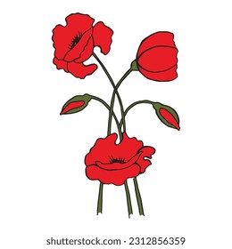 Bouquet of bright red poppies. Vector illustration