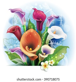 Bouquet of Calla lilies