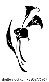 Bouquet of calla lily flowers isolated on a white background. Black silhouette of calla flowers bouquet. Vector black and white illustration