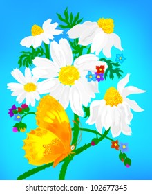 Bouquet of camomiles with a butterfly