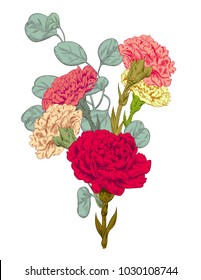 Bouquet carnation schabaud, eucalyptus silver dollar: red, pink, yellow, white flowers, green stems, leaves on white background for Mother's Day, digital draw in engraving vintage style, vector