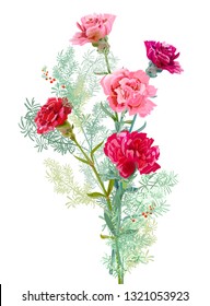 Bouquet of carnation schabaud, pink, white, red flowers, green leaves, twigs asparagus, white background, card for Mother's Day, Victory day, digital draw, illustration in watercolor style, vector